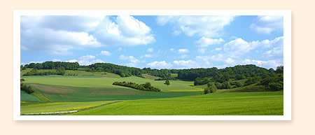 Wildgericht Schramm Rossstadt